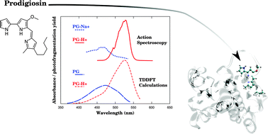 Graphical abstract: Optical properties of prodigiosin and obatoclax: action spectroscopy and theoretical calculations