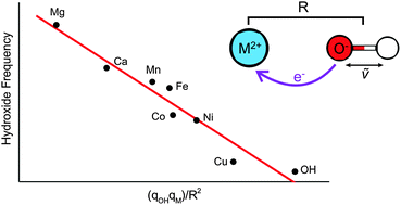 Graphical abstract: Charge transfer in MOH(H2O)+ (M = Mn, Fe, Co, Ni, Cu, Zn) complexes revealed by vibrational spectroscopy of mass-selected ions