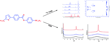 Graphical abstract: 2-Octyl thiophene based three ring mesogens: solid state 13C NMR and XRD investigations