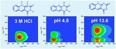 Graphical abstract: Study of photophysical properties of 5-deazaalloxazine and 1,3-dimethyl-5-deazaalloxazine in dependence of pH using different spectral techniques