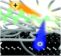 Graphical abstract: On the role of local charge carrier mobility in the charge separation mechanism of organic photovoltaics