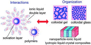 Graphical abstract: Nanoparticles in ionic liquids: interactions and organization
