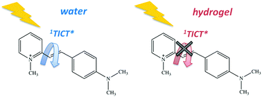 Graphical abstract: Inclusion of push–pull N-methylpyridinium salts within surfactant hydrogels: is their excited state intramolecular charge transfer mediated by twisting?