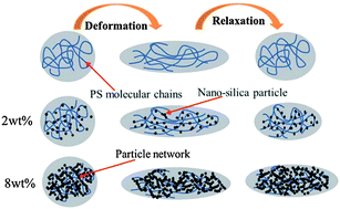 Graphical abstract: Peculiar morphological transitions induced by nanoparticles in polymeric blends: retarded relaxation or altered interfacial tension?