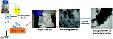 Graphical abstract: Phase separation induced shell thickness variations in electrospun hollow Bioglass 45S5 fiber mats for drug delivery applications