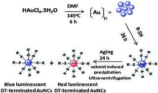 Graphical abstract: A facile one-pot synthesis of blue and red luminescent thiol stabilized gold nanoclusters: a thorough optical and microscopy study