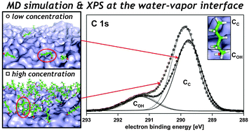 Graphical abstract: Surface behavior of amphiphiles in aqueous solution: a comparison between different pentanol isomers