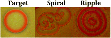 Graphical abstract: Targets, ripples and spirals in a precipitation system with anomalous dispersion