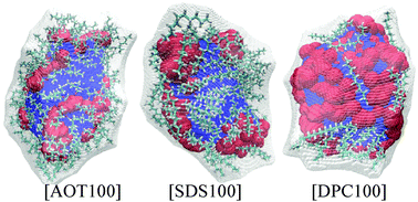 Graphical abstract: Structural organization of surfactant aggregates in vacuo: a molecular dynamics and well-tempered metadynamics study