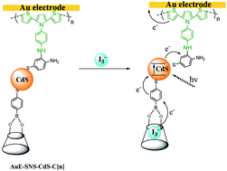 Graphical abstract: Calixarene assembly with enhanced photocurrents using P(SNS-NH2)/CdS nanoparticle structure modified Au electrode systems