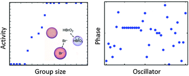 Graphical abstract: Insights into collective cell behaviour from populations of coupled chemical oscillators