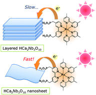 Graphical abstract: Emission spectroscopy of a ruthenium(ii) polypyridyl complex adsorbed on calcium niobate lamellar solids and nanosheets