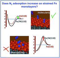 Graphical abstract: The dynamics of adsorption and dissociation of N2 in a monolayer of iron on W(110)