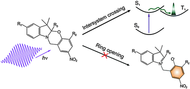 Graphical abstract: Redefining the established understanding of excitation dynamics of photochromic oxazines