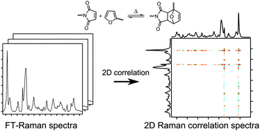 Graphical abstract: Two-dimensional Raman correlation spectroscopy reveals molecular structural changes during temperature-induced self-healing in polymers based on the Diels–Alder reaction