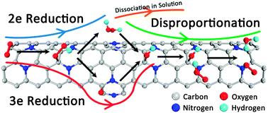 Graphical abstract: O2 and H2O2 transformation steps for the oxygen reduction reaction catalyzed by graphitic nitrogen-doped carbon nanotubes in acidic electrolyte from first principles calculations