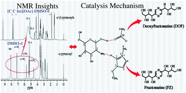 Graphical abstract: Glucosamine condensation catalyzed by 1-ethyl-3-methylimidazolium acetate: mechanistic insight from NMR spectroscopy