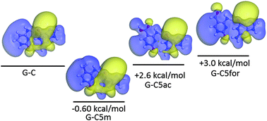 Graphical abstract: Structural, electronic and energetic consequences of epigenetic cytosine modifications