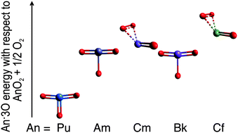 Graphical abstract: Plutonium and transplutonium element trioxides: molecular structures, chemical bonding, and isomers