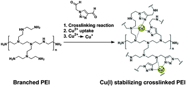 Graphical abstract: Cu(i) stabilizing crosslinked polyethyleneimine