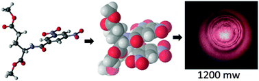 Graphical abstract: Assembly, growth and nonlinear thermo-optical properties of nitropeptides