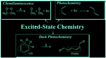 Graphical abstract: Theoretical study of the dark photochemistry of 1,3-butadiene via the chemiexcitation of Dewar dioxetane
