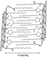 Graphical abstract: Molecular pillar supported graphene oxide framework: conformational heterogeneity and tunable d-spacing