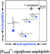 Graphical abstract: Effects of constituent ions of a phosphonium-based ionic liquid on molecular organization of H2O as probed by 1-propanol: tetrabutylphosphonium and trifluoroacetate ions