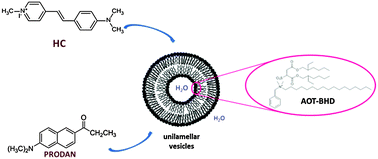 Graphical abstract: Singularities in the physicochemical properties of spontaneous AOT-BHD unilamellar vesicles in comparison with DOPC vesicles