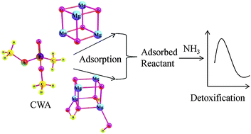 Graphical abstract: Decomposition of O,S-dimethyl methylphosphonothiolate by ammonia on magnesium oxide: a theoretical study of catalytic detoxification of a chemical warfare agent