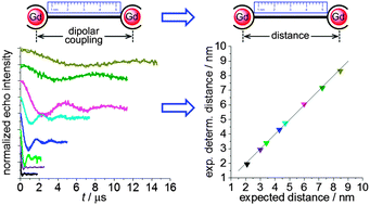 Graphical abstract: Gd(iii)–Gd(iii) EPR distance measurements – the range of accessible distances and the impact of zero field splitting