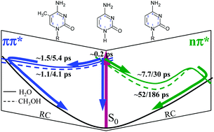 Graphical abstract: Remarkable effects of solvent and substitution on the photo-dynamics of cytosine: a femtosecond broadband time-resolved fluorescence and transient absorption study