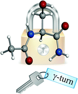 Graphical abstract: Fourier transform microwave spectroscopy of Ac-Ser-NH2: the role of side chain interactions in peptide folding