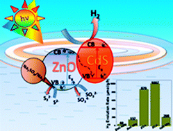 Graphical abstract: Fabrication of hierarchical ZnO/CdS heterostructured nanocomposites for enhanced hydrogen evolution from solar water splitting