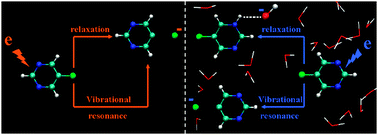 Graphical abstract: Excess electron interaction with radiosensitive 5-bromopyrimidine in aqueous solution: a combined ab initio molecular dynamics and time-dependent wave-packet study