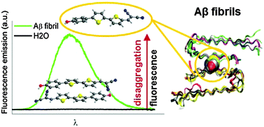 Graphical abstract: Disaggregation-induced fluorescence enhancement of NIAD-4 for the optical imaging of amyloid-β fibrils