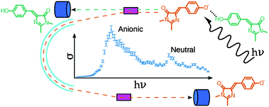 Graphical abstract: How far can a single hydrogen bond tune the spectral properties of the GFP chromophore?