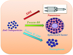 Graphical abstract: Understanding the adsorption behavior of surface active molecules on ZnO nanostructures by experimental and first-principles calculations