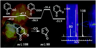 Graphical abstract: Formation and stability of gas-phase o-benzoquinone from oxidation of ortho-hydroxyphenyl: a combined neutral and distonic radical study