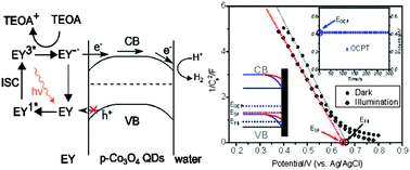 Graphical abstract: A cocatalyst-free Eosin Y-sensitized p-type of Co3O4 quantum dot for highly efficient and stable visible-light-driven water reduction and hydrogen production