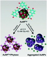 Graphical abstract: Charge-switchable gold nanoparticles for enhanced enzymatic thermostability