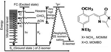 Graphical abstract: Strong electron donation induced differential nonradiative decay pathways for para and meta GFP chromophore analogues