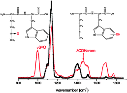 Graphical abstract: Tandem mass spectrometry and infrared spectroscopy as a tool to identify peptide oxidized residues