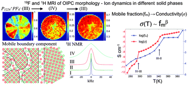 Graphical abstract: New insights into the thermal behaviour of organic ionic plastic crystals: magnetic resonance imaging of polycrystalline morphology alterations induced by solid–solid phase transitions