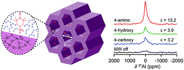 Graphical abstract: Direct dynamic nuclear polarization targeting catalytically active 27Al sites