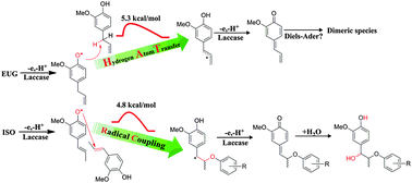 Graphical abstract: Multicomponent kinetic analysis and theoretical studies on the phenolic intermediates in the oxidation of eugenol and isoeugenol catalyzed by laccase