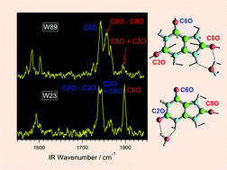 Graphical abstract: Hydrogen-bonding interactions of uric acid complexes with water/melamine by mid-infrared spectroscopy