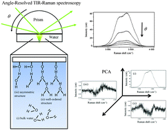 Graphical abstract: Investigation of the structure of water at hydrophobic and hydrophilic interfaces by angle-resolved TIR Raman spectroscopy