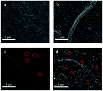 Graphical abstract: Chemical structures and physical properties of vanadium oxide films modified by single-walled carbon nanotubes