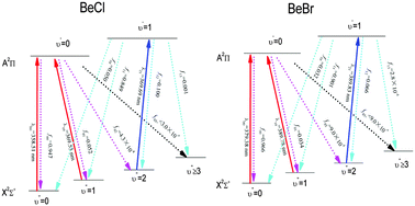 Graphical abstract: Laser cooling of BeCl and BeBr molecules in an ab initio method